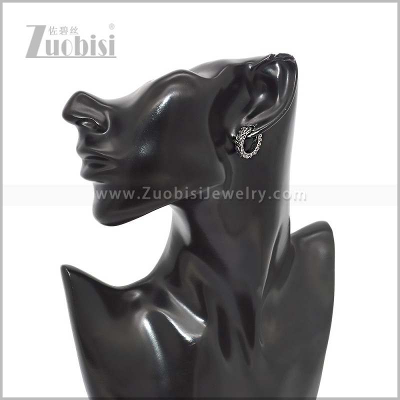 Stainless Steel Earring e002872S
