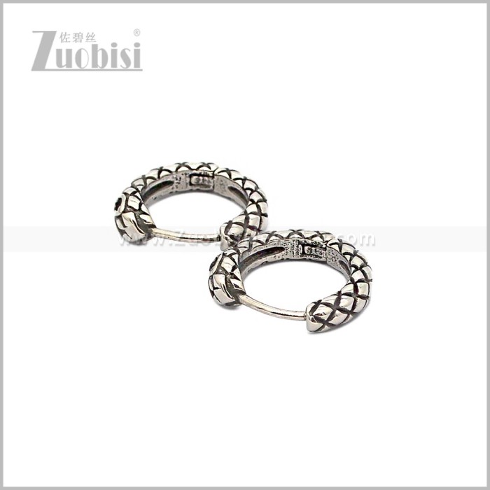 Stainless Steel Earring e002888S