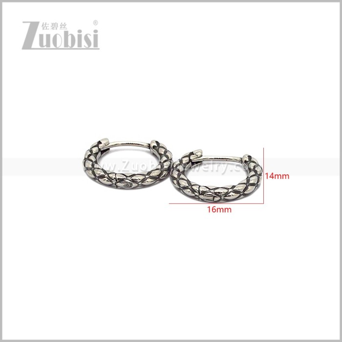Stainless Steel Earring e002889S