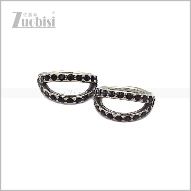 Stainless Steel Earring e002894S
