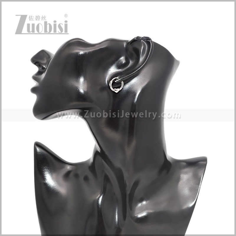 Stainless Steel Earring e002869S