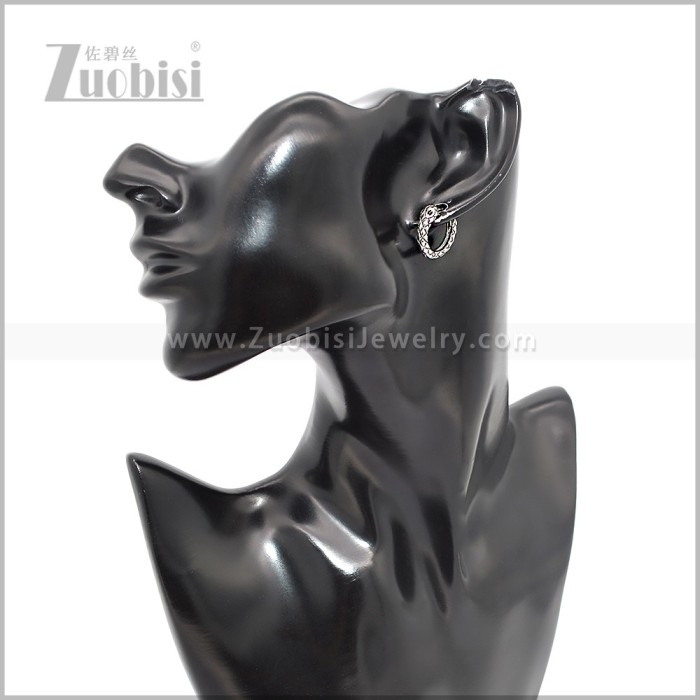 Stainless Steel Earring e002888S
