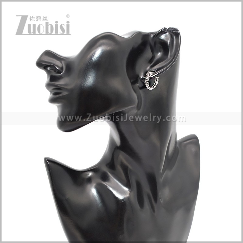 Stainless Steel Earring e002888S