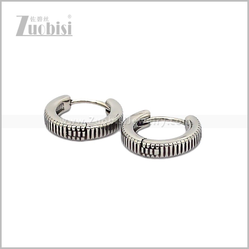 Stainless Steel Earring e002898S