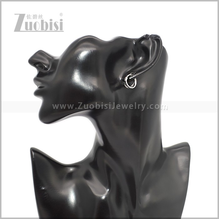 Stainless Steel Earring e002894S