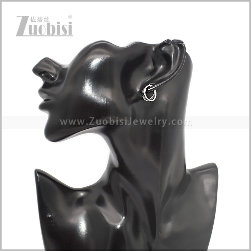 Stainless Steel Earring e002894S