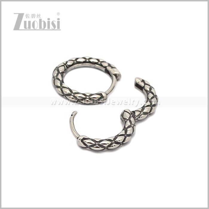 Stainless Steel Earring e002889S
