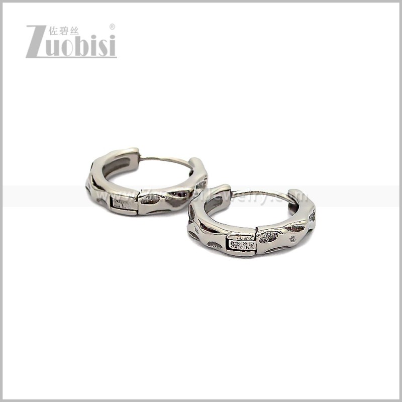 Stainless Steel Earring e002884S