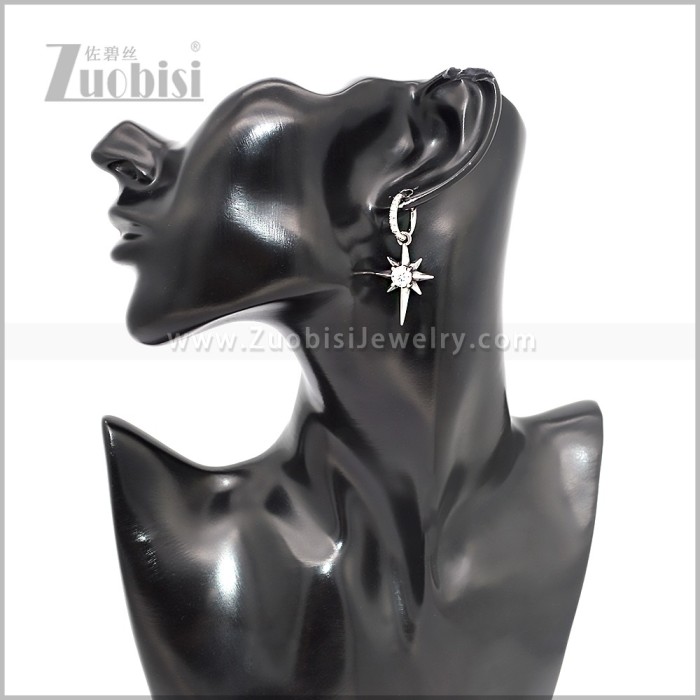 Stainless Steel Earring e002874S