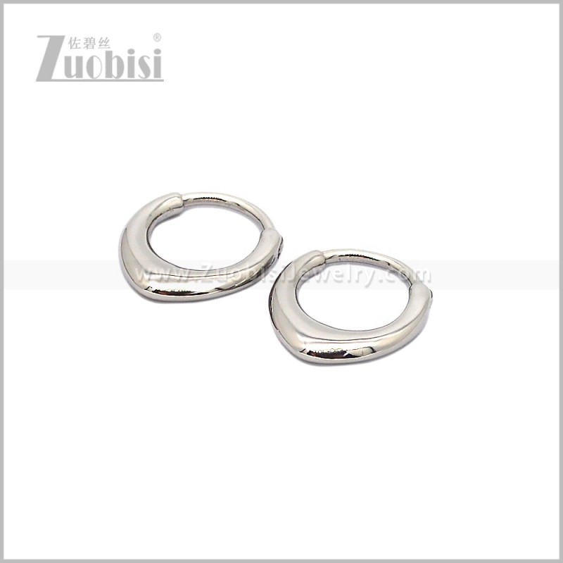 Stainless Steel Earring e002864S