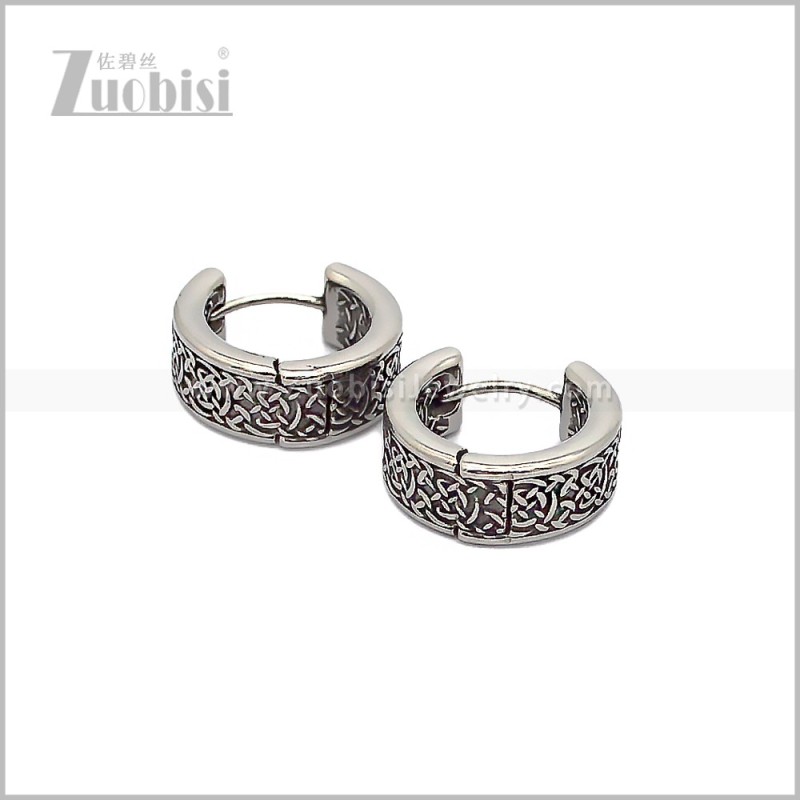 Stainless Steel Earring e002901S
