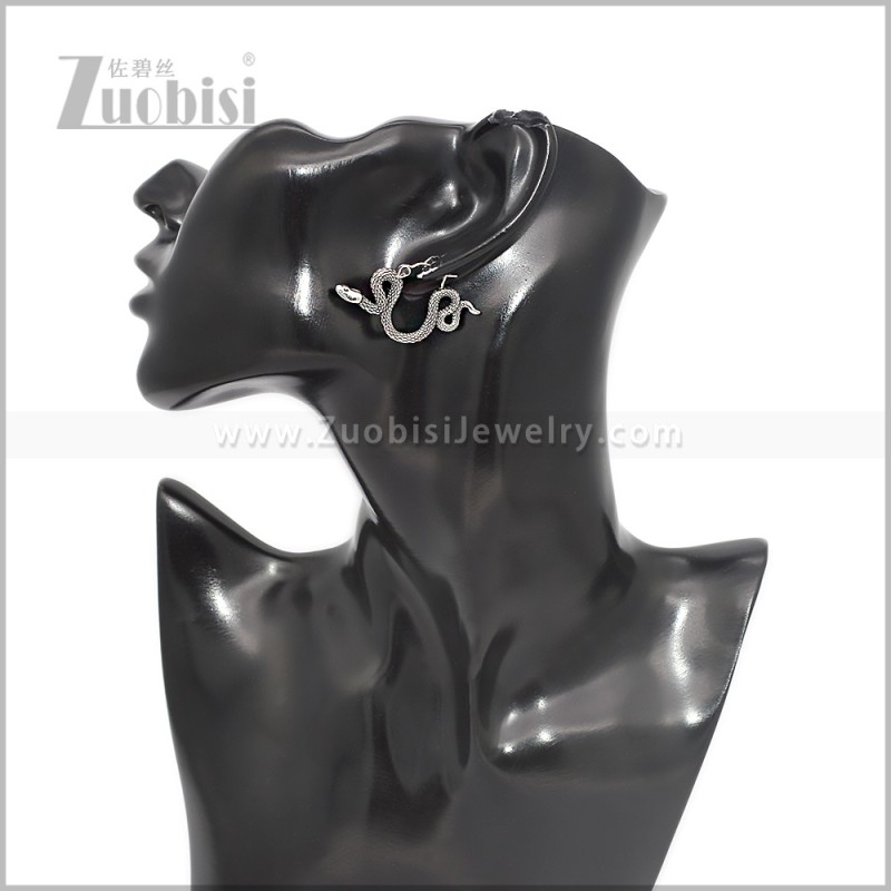 Stainless Steel Earring e002893S