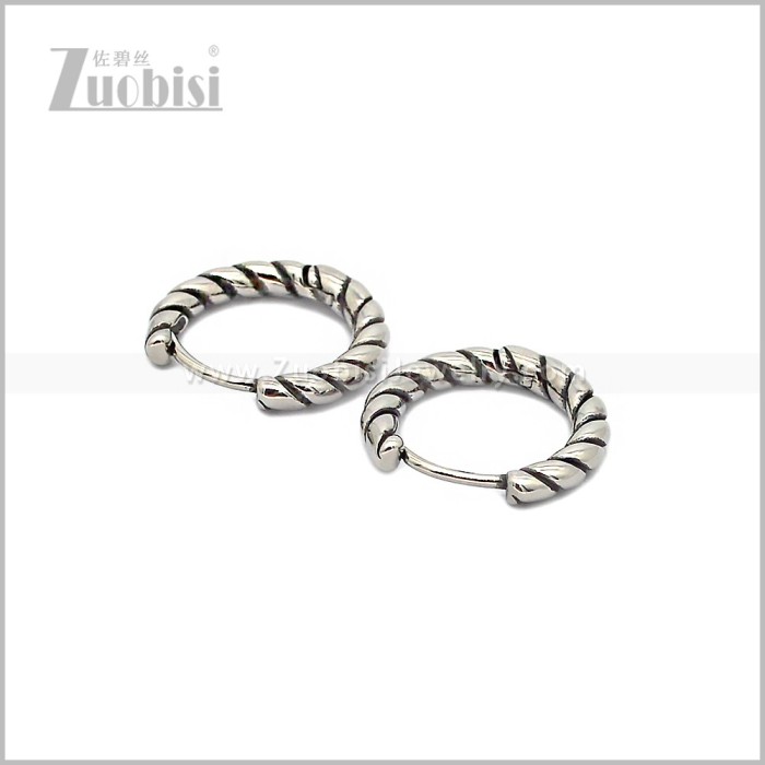 Stainless Steel Earring e002868S