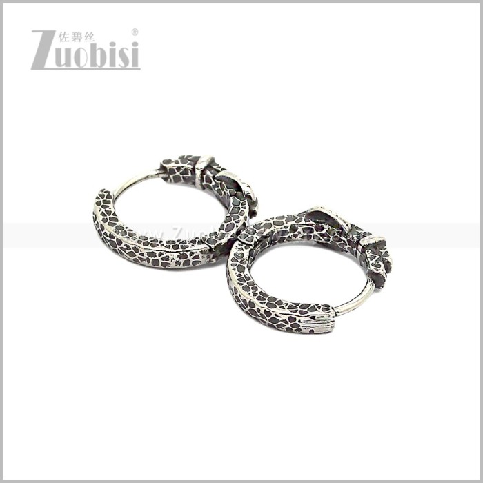 Stainless Steel Earring e002871S