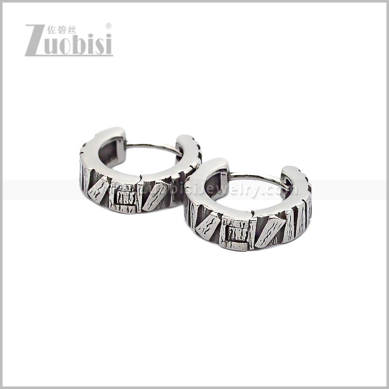 Stainless Steel Earring e002879S