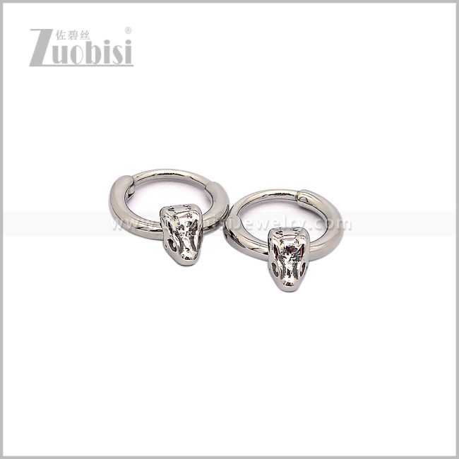Stainless Steel Earring e002899S