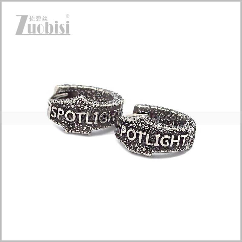 Stainless Steel Earring e002882S
