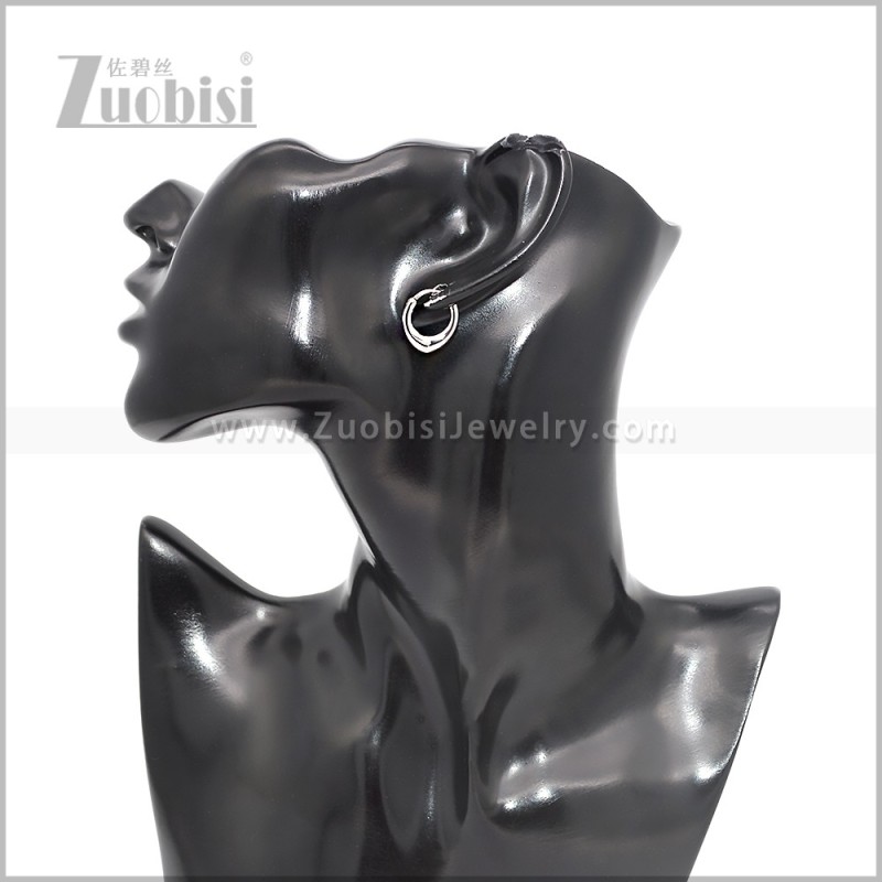 Stainless Steel Earring e002864S