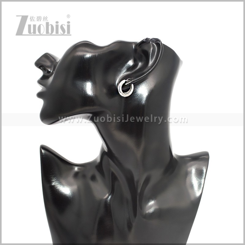 Stainless Steel Earring e002890S