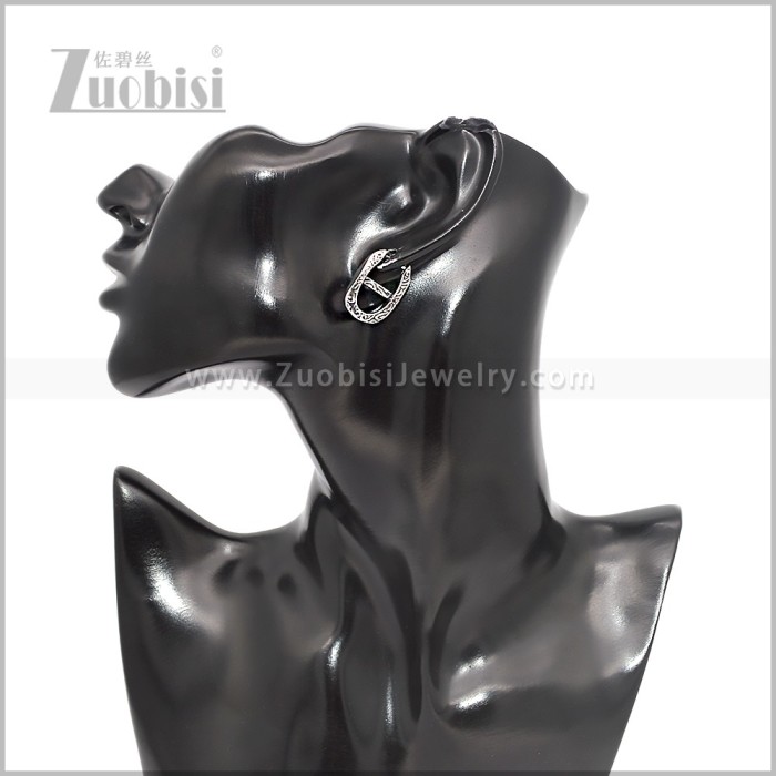 Stainless Steel Earring e002875S