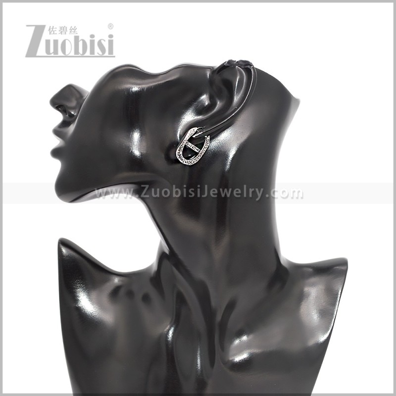 Stainless Steel Earring e002875S