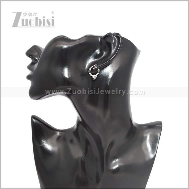 Stainless Steel Earring e002899S