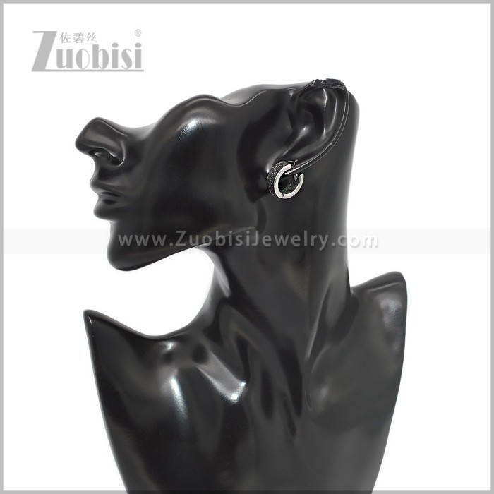 Stainless Steel Earring e002901S