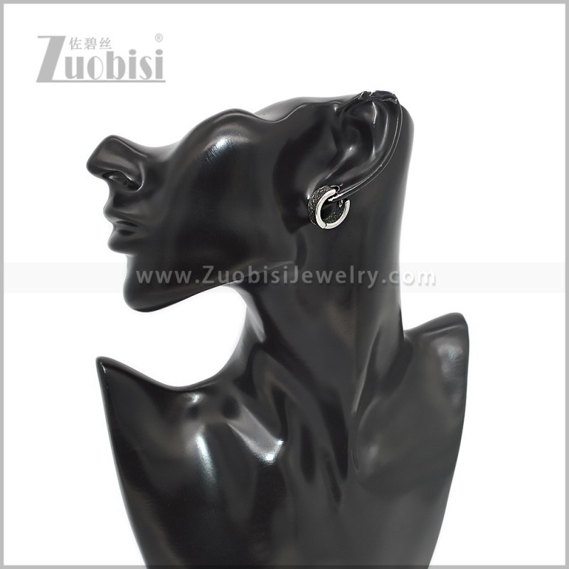 Stainless Steel Earring e002901S