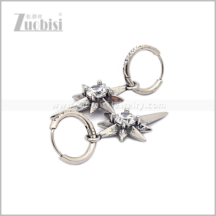 Stainless Steel Earring e002874S