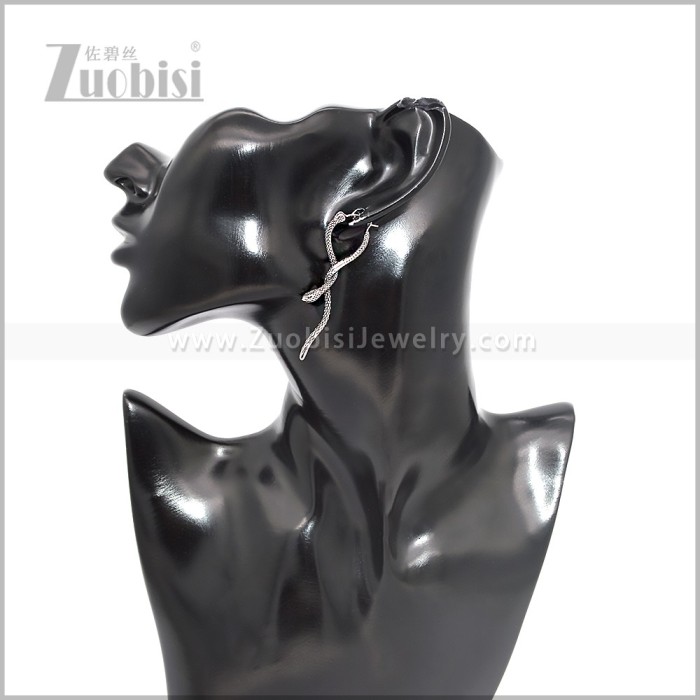 Stainless Steel Earring e002892S