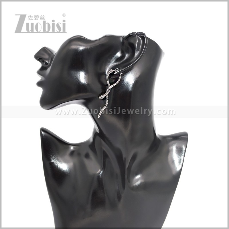 Stainless Steel Earring e002892S