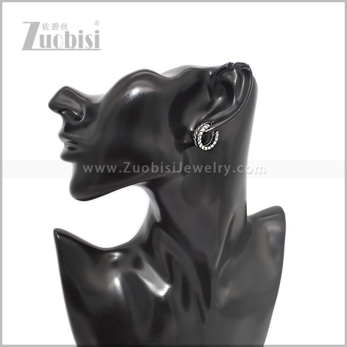 Stainless Steel Earring e002897S