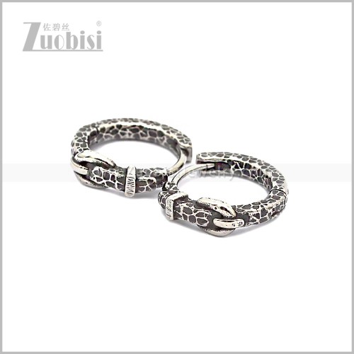 Stainless Steel Earring e002871S
