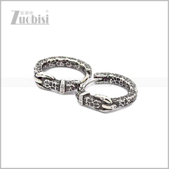 Stainless Steel Earring e002871S