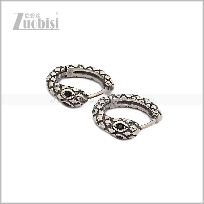 Stainless Steel Earring e002888S