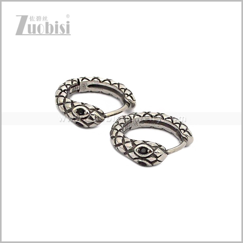 Stainless Steel Earring e002888S