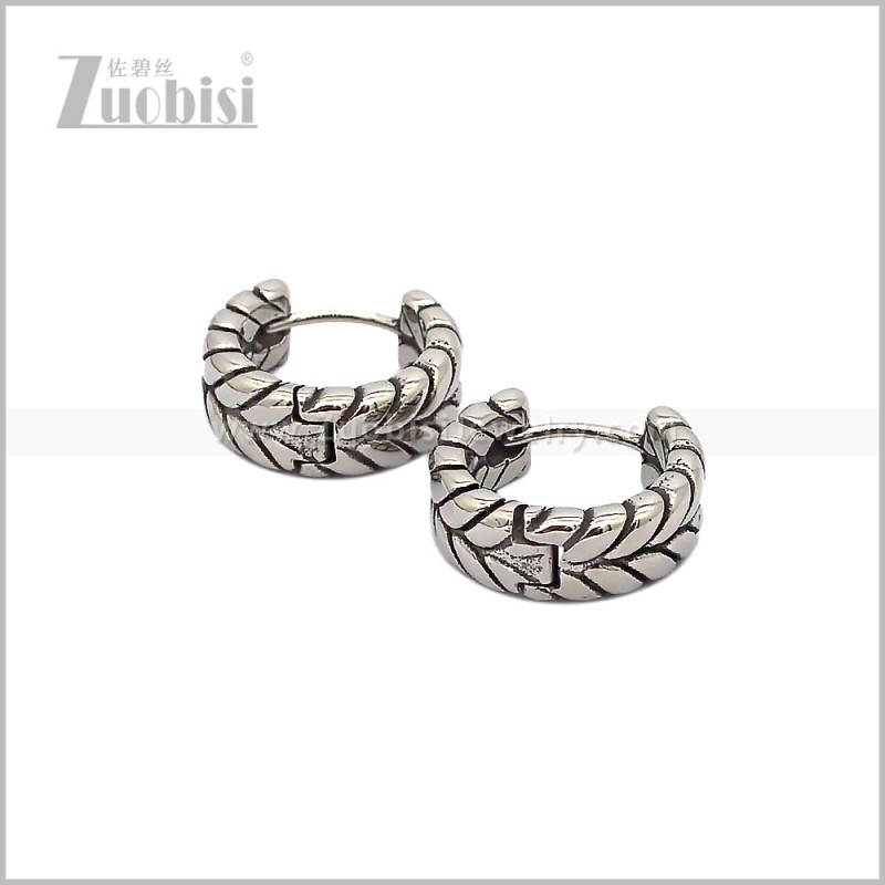 Stainless Steel Earring e002897S