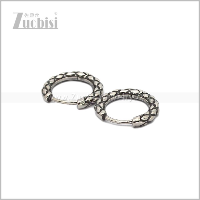 Stainless Steel Earring e002889S