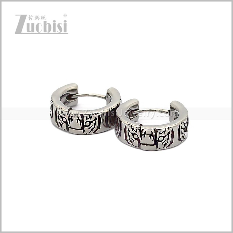 Stainless Steel Earring e002883S