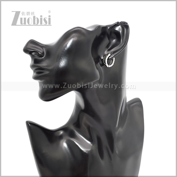 Stainless Steel Earring e002879S