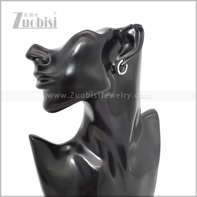 Stainless Steel Earring e002879S