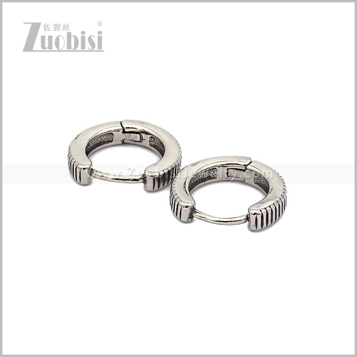 Stainless Steel Earring e002898S