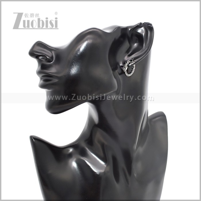 Stainless Steel Earring e002871S