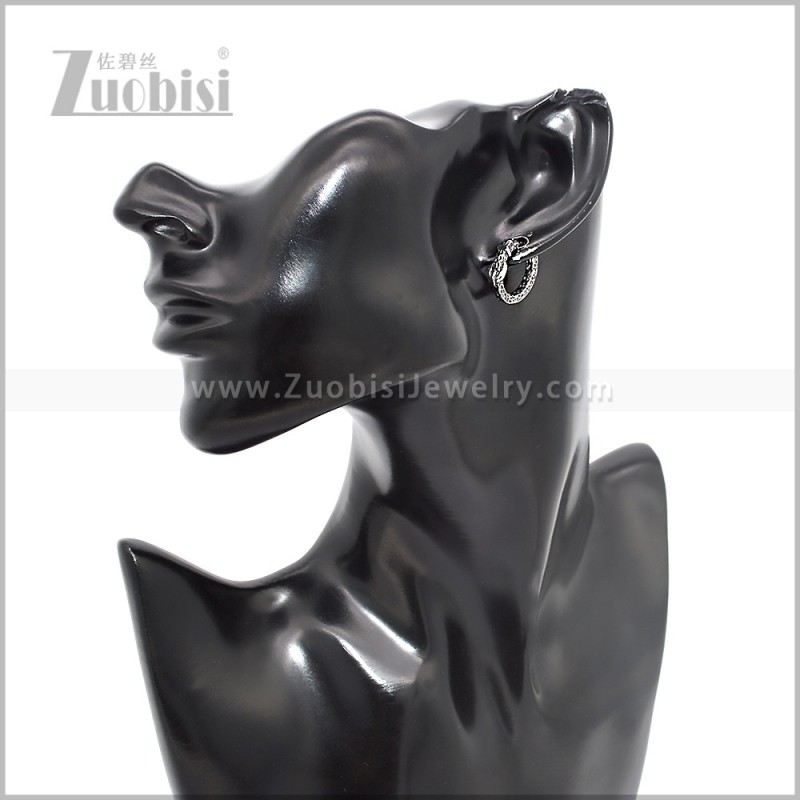 Stainless Steel Earring e002871S