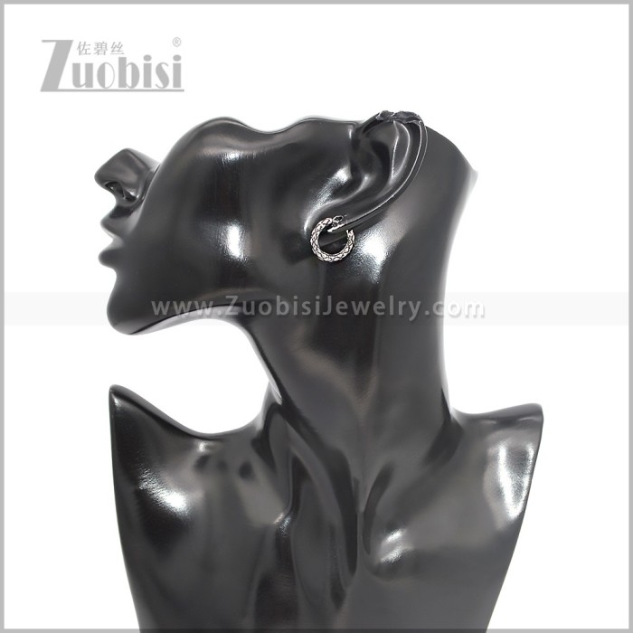 Stainless Steel Earring e002889S
