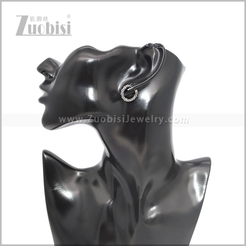 Stainless Steel Earring e002889S