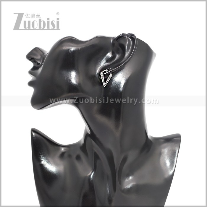 Stainless Steel Earring e002865S