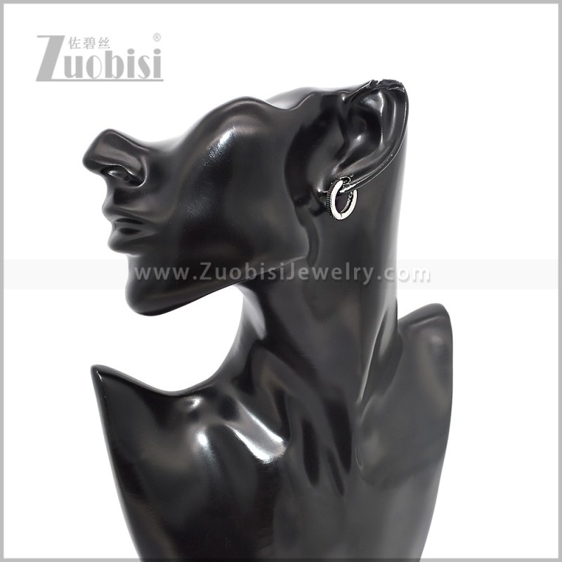 Stainless Steel Earring e002898S