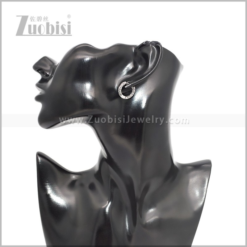 Stainless Steel Earring e002867S