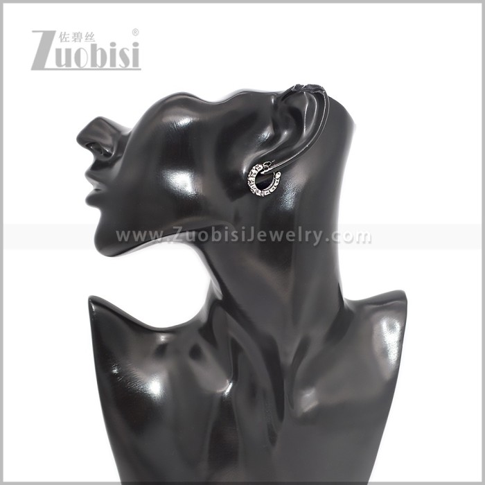 Stainless Steel Earring e002902S